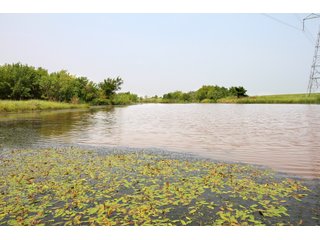 TRACT 4 - LAND AUCTION - 160+/- ACRES OFFERED IN 8 TRACTS IN DEER CREEK, OKLAHOMA